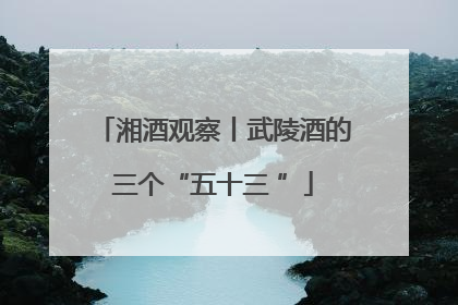 湘酒观察丨武陵酒的三个“五十三 ”