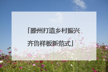 滕州打造乡村振兴齐鲁样板新范式