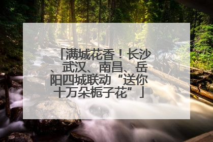 满城花香！长沙、武汉、南昌、岳阳四城联动“送你十万朵栀子花”