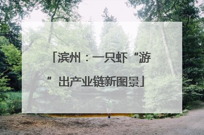 滨州：一只虾“游”出产业链新图景
