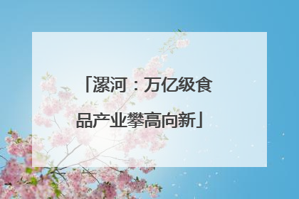 漯河：万亿级食品产业攀高向新