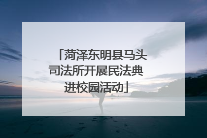 菏泽东明县马头司法所开展民法典进校园活动