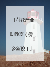 荷花产业助致富（侨乡新貌）