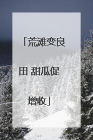荒滩变良田 甜瓜促增收