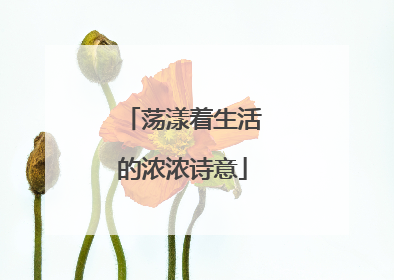 荡漾着生活的浓浓诗意