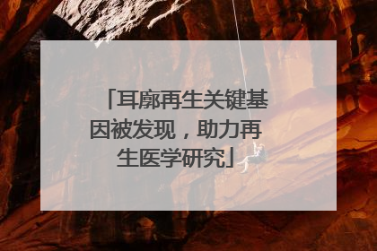 耳廓再生关键基因被发现，助力再生医学研究