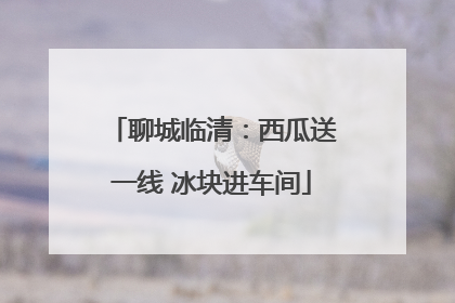 聊城临清：西瓜送一线 冰块进车间
