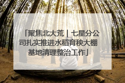 聚焦北大荒｜七星分公司扎实推进水稻育秧大棚基地清理整治工作