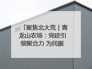 聚焦北大荒｜青龙山农场：党建引领聚合力 为民服务践初心