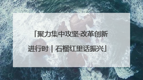 聚力集中攻坚·改革创新进行时｜石榴红里话振兴