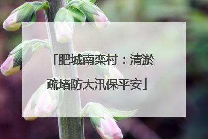 肥城南栾村：清淤疏堵防大汛保平安