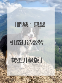 肥城：典型引路打造数智转型升级版