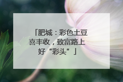 肥城：彩色土豆喜丰收，致富路上好“彩头”