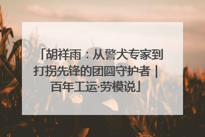 胡祥雨：从警犬专家到打拐先锋的团圆守护者｜百年工运·劳模说