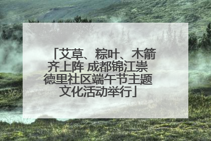 艾草、粽叶、木箭齐上阵 成都锦江崇德里社区端午节主题文化活动举行