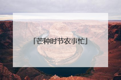 芒种时节农事忙