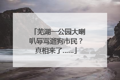 芜湖一公园大喇叭辱骂遛狗市民？真相来了……