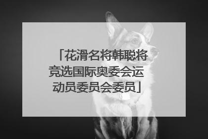 花滑名将韩聪将竞选国际奥委会运动员委员会委员