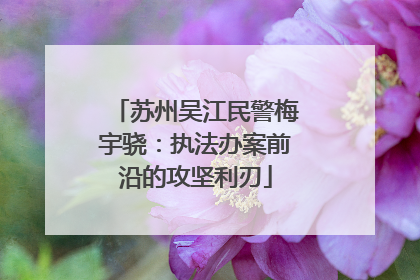 苏州吴江民警梅宇骁：执法办案前沿的攻坚利刃