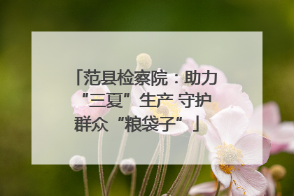 范县检察院：助力“三夏”生产 守护群众“粮袋子”