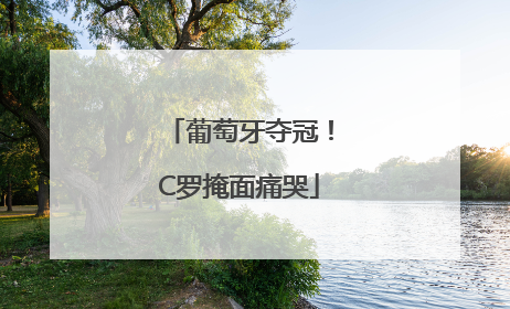 葡萄牙夺冠！C罗掩面痛哭