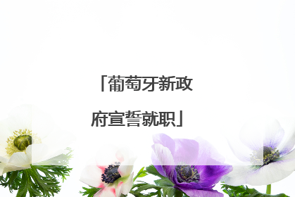 葡萄牙新政府宣誓就职