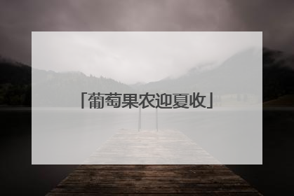 葡萄果农迎夏收