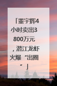 董宇辉4小时卖出3800万元，潜江龙虾火爆“出圈”