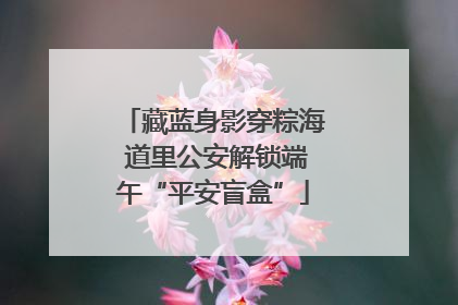藏蓝身影穿粽海 道里公安解锁端午“平安盲盒”