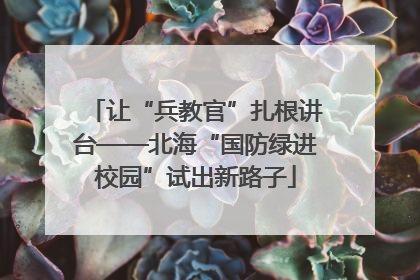 让“兵教官”扎根讲台——北海“国防绿进校园”试出新路子