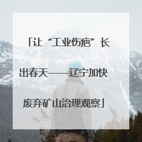 让“工业伤疤”长出春天——辽宁加快废弃矿山治理观察