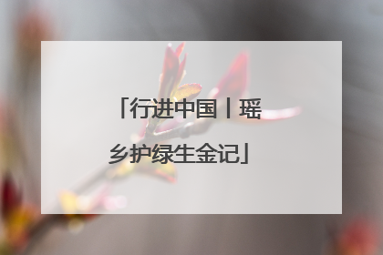 行进中国丨瑶乡护绿生金记