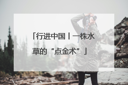 行进中国丨一株水草的“点金术”