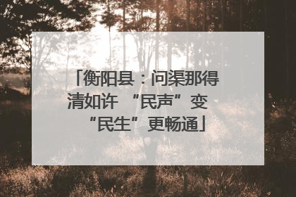 衡阳县：问渠那得清如许 “民声”变“民生”更畅通