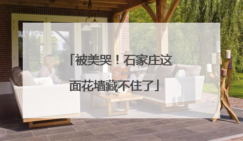 被美哭！石家庄这面花墙藏不住了