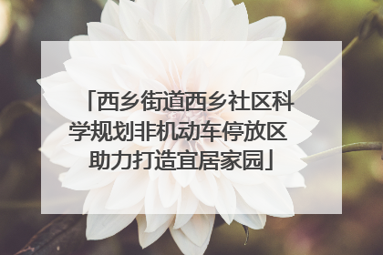 西乡街道西乡社区科学规划非机动车停放区 助力打造宜居家园