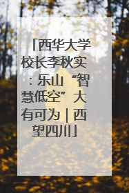 西华大学校长李秋实：乐山“智慧低空”大有可为｜西望四川