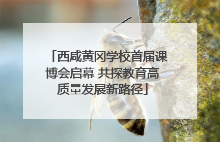 西咸黄冈学校首届课博会启幕 共探教育高质量发展新路径