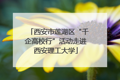 西安市莲湖区“千企高校行”活动走进西安理工大学