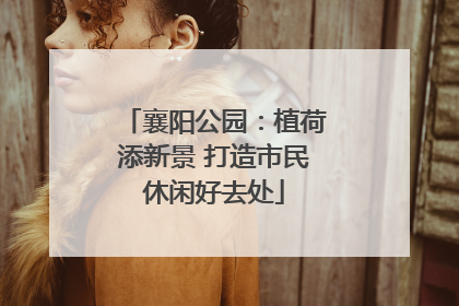 襄阳公园：植荷添新景 打造市民休闲好去处