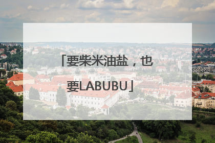 要柴米油盐，也要LABUBU
