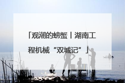 观潮的螃蟹丨湖南工程机械“双城记”