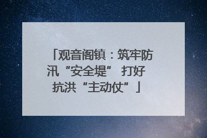 观音阁镇：筑牢防汛“安全堤” 打好抗洪“主动仗”