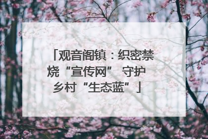 观音阁镇：织密禁烧“宣传网” 守护乡村“生态蓝”