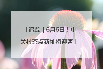 追踪｜6月6日！中关村茶点新址将迎客