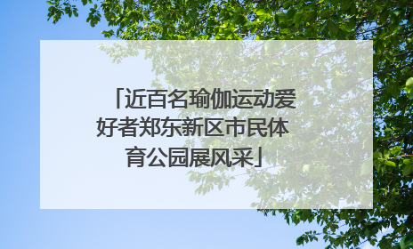 近百名瑜伽运动爱好者郑东新区市民体育公园展风采