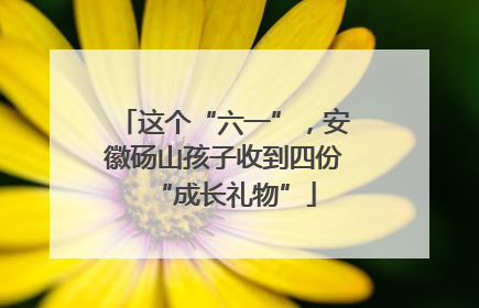 这个“六一”，安徽砀山孩子收到四份“成长礼物”