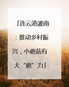 连云港灌南：推动乡村振兴，小蘑菇有大“蘑”力