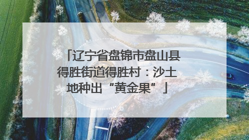 辽宁省盘锦市盘山县得胜街道得胜村：沙土地种出“黄金果”