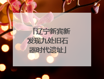 辽宁新宾新发现九处旧石器时代遗址